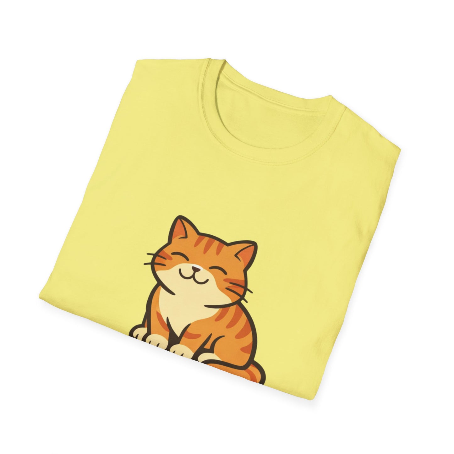 Cat Firmware Updated