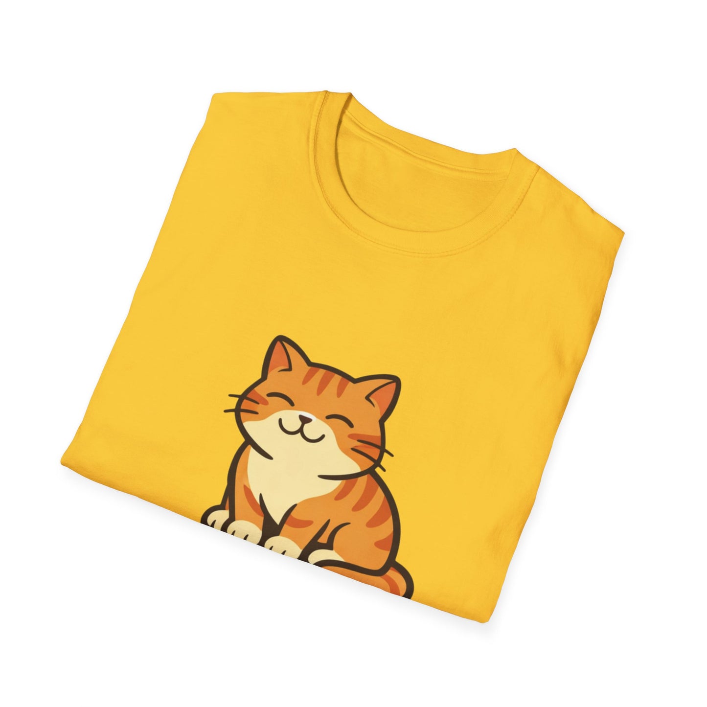 Cat Firmware Updated